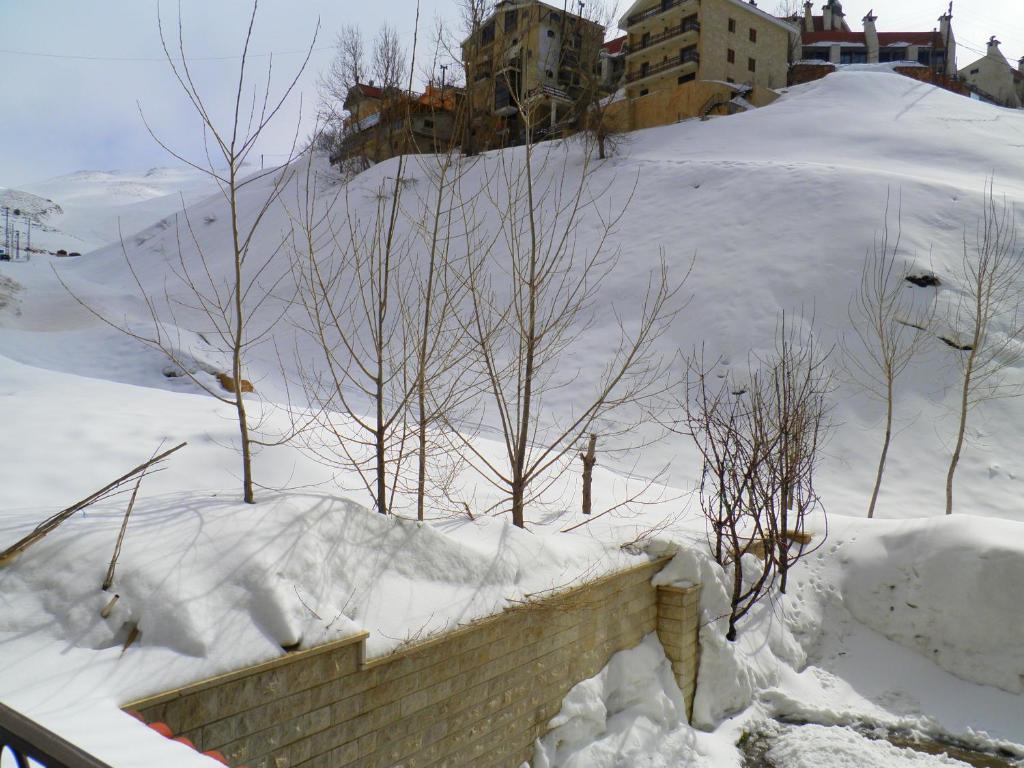 Stone Chalets Fārayyā Værelse billede